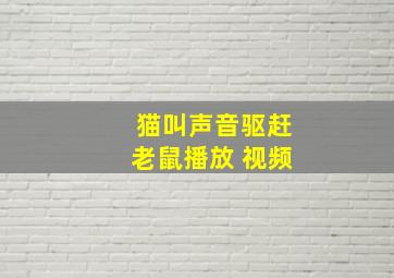 猫叫声音驱赶老鼠播放 视频